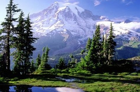 Mt Rainier Seattle Washington